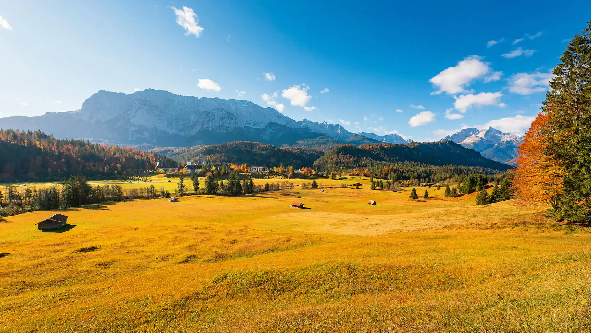 Luxury Wellness Retreat in the Bavarian Alps: Yoga, Ice Bathing & Michelin Dining for Adults