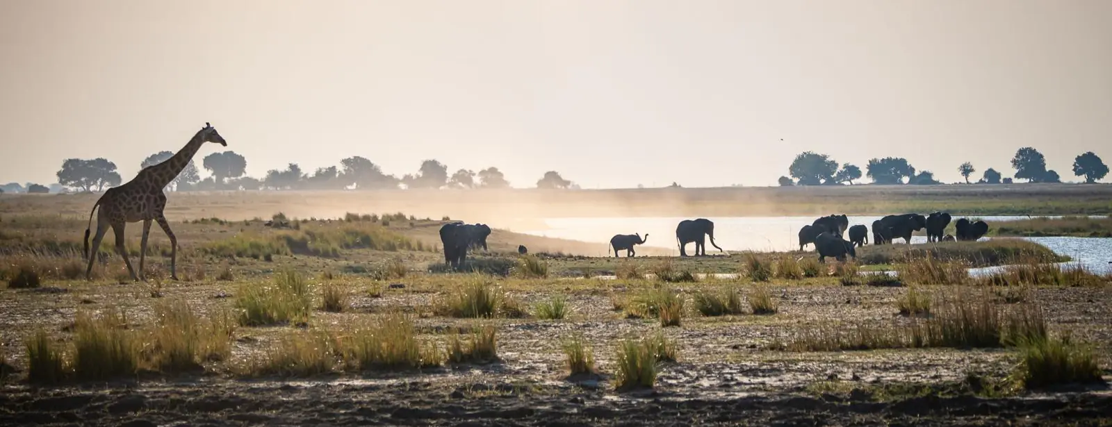 Yoga and Wildlife Wellness Week: Victoria Falls to the Chobe Bush with Amrita Jules