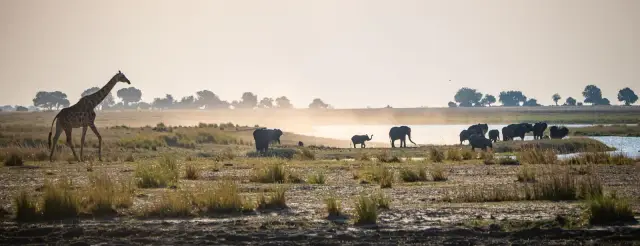 Yoga and Wildlife Wellness Week: Victoria Falls to the Chobe Bush with Amrita Jules
