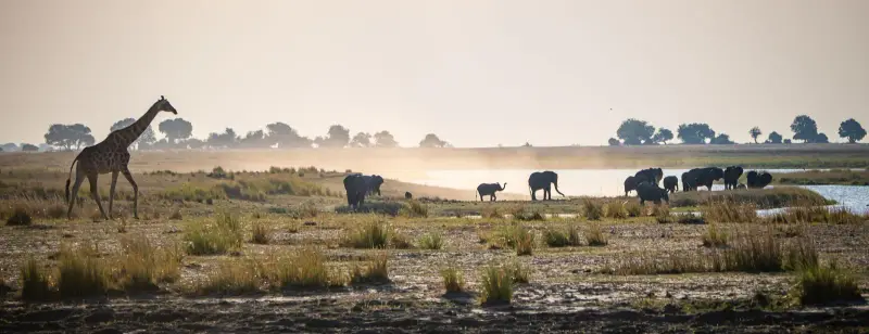 Yoga and Wildlife Wellness Week: Victoria Falls to the Chobe Bush with Amrita Jules