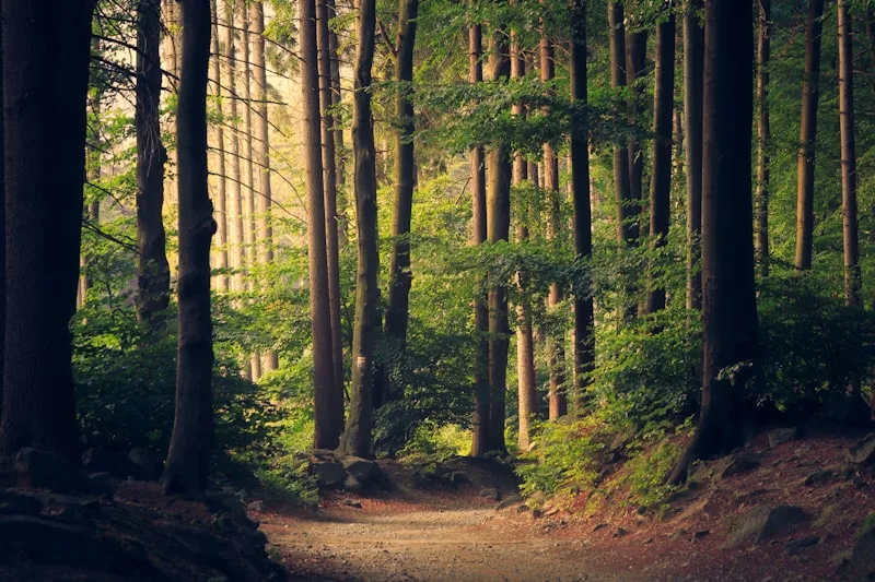 Black Forest, Germany Fitness Retreats