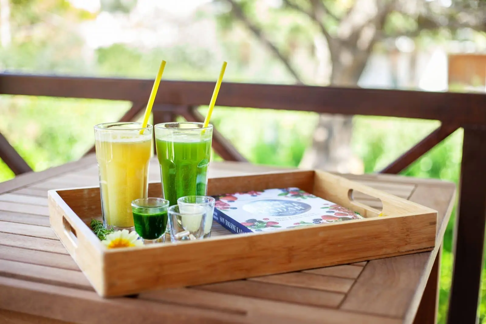 Medically Supervised Weight Loss Retreat with Detox and Raw Food Cuisine