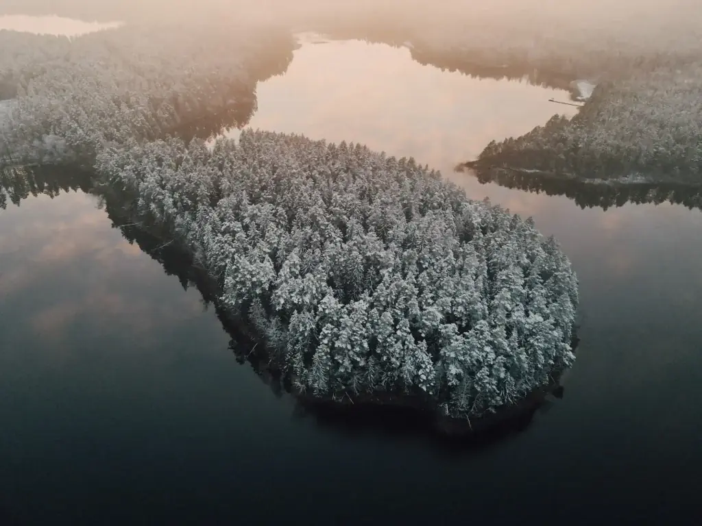 Winter Yoga, Ice Bath & Sauna Retreat in Lithuania's Labanoras Forest