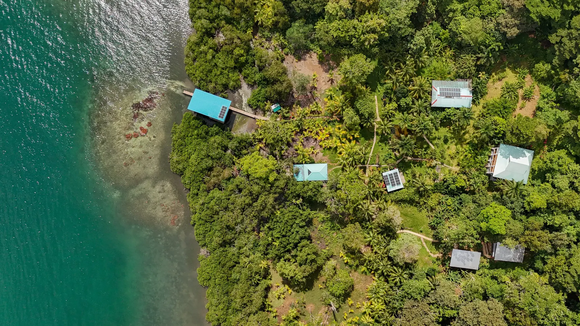 Jungle Yoga and Wellness Retreat on Isla Solarte, Bocas del Toro