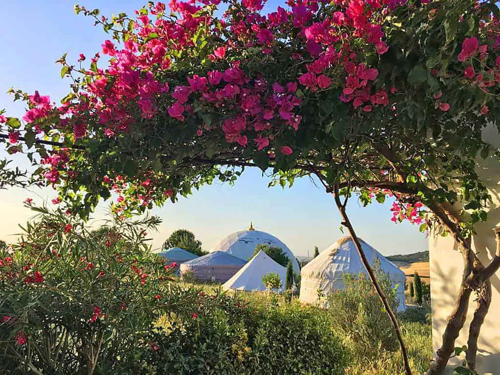 Yoga & Hiking Retreat in Altea, Spain: Five Days of Sea Air, Olive Groves and Twice-Daily Practice