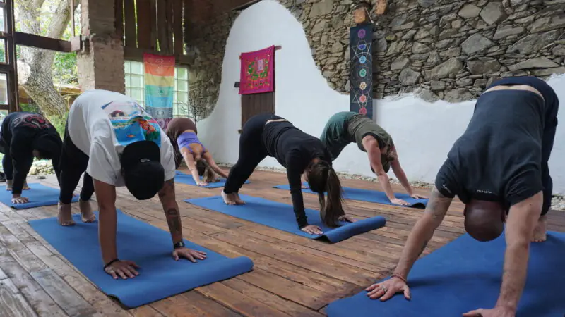 Bohemian Farmhouse Yoga & Vegetarian Cuisine Retreat