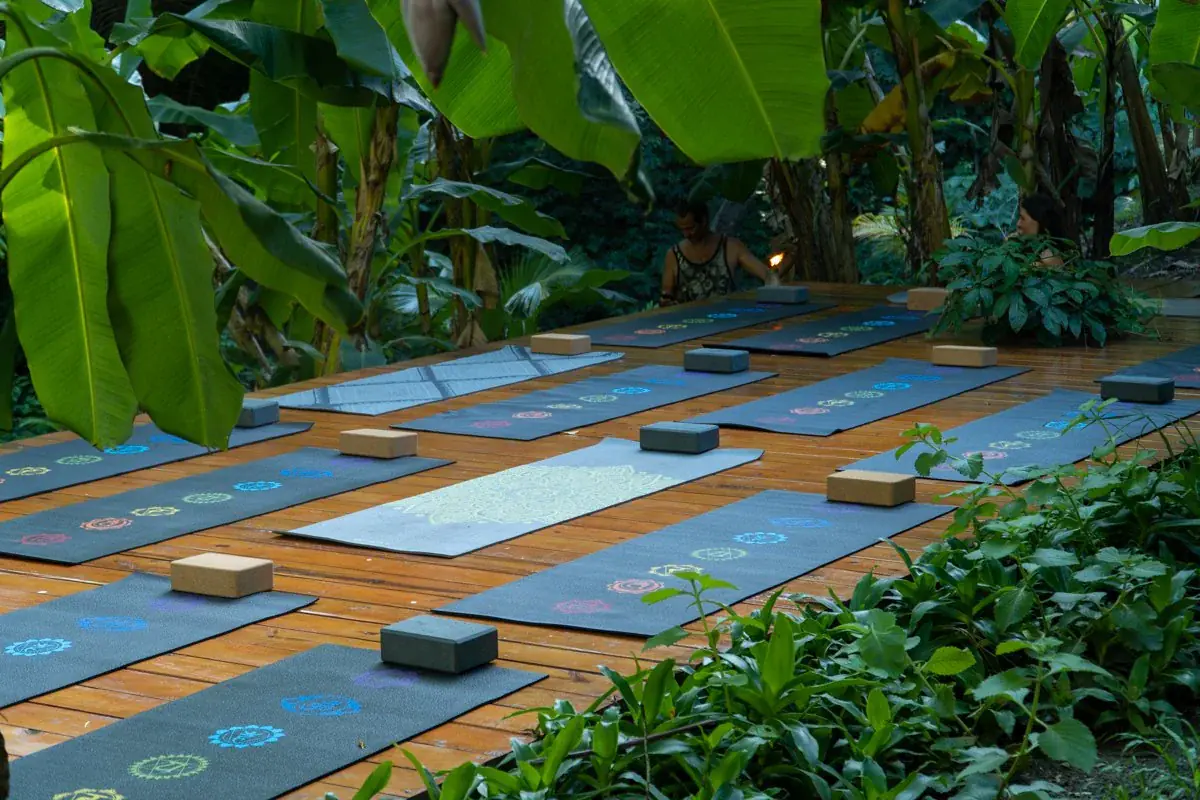 Women's Wellness Retreat in Roatan: Yoga, Qi Gong & Jungle Living