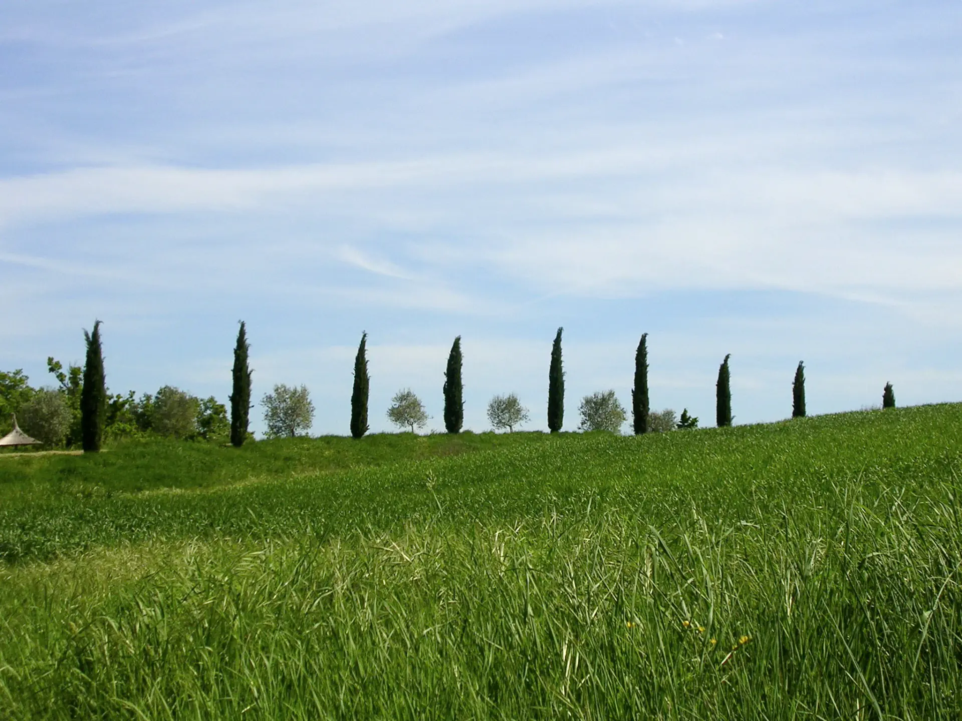Yoga, Wine and Tuscan Cooking: A Wellness Week in the Italian Countryside
