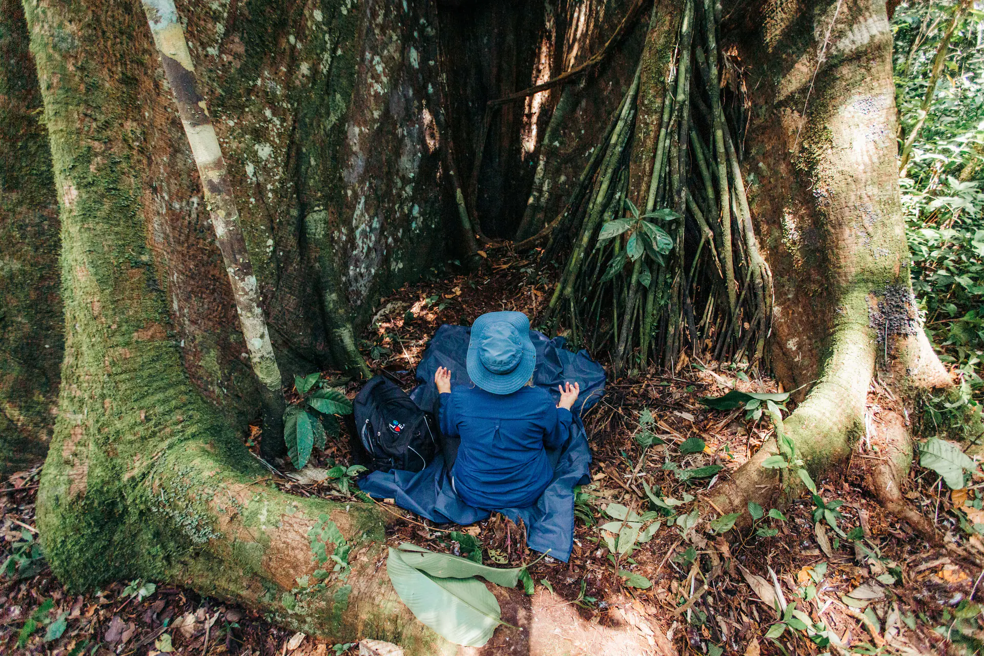 Amazon Rainforest Wellness Retreat in Ecuador: Yoga & Achuar Healing