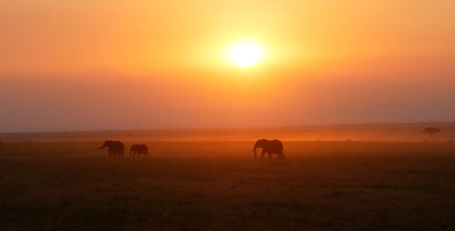Kenya Wildlife Safari & Yoga Retreat for Women