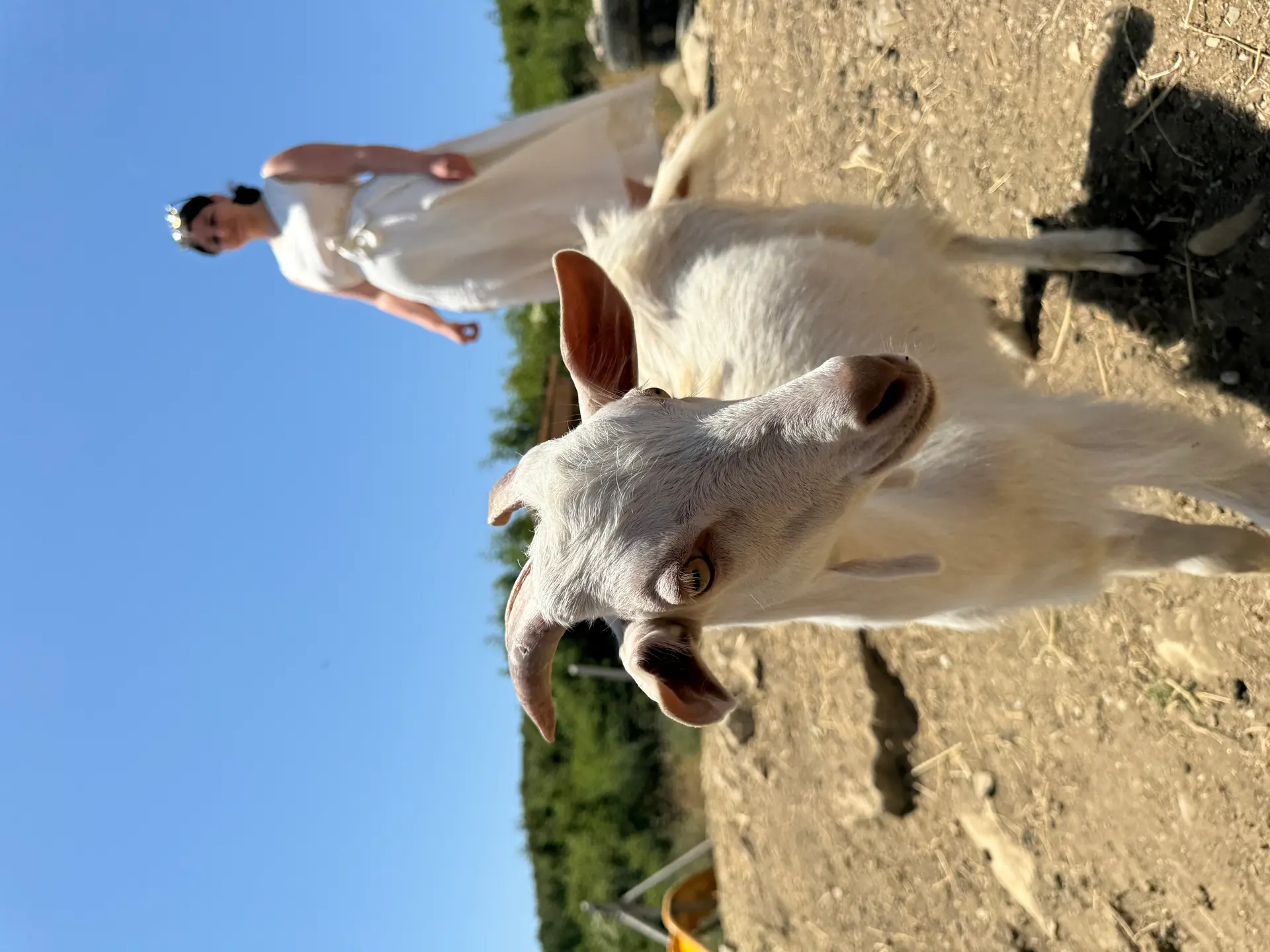 Dynamic Healing & Yoga Retreat in Saranda, Albania