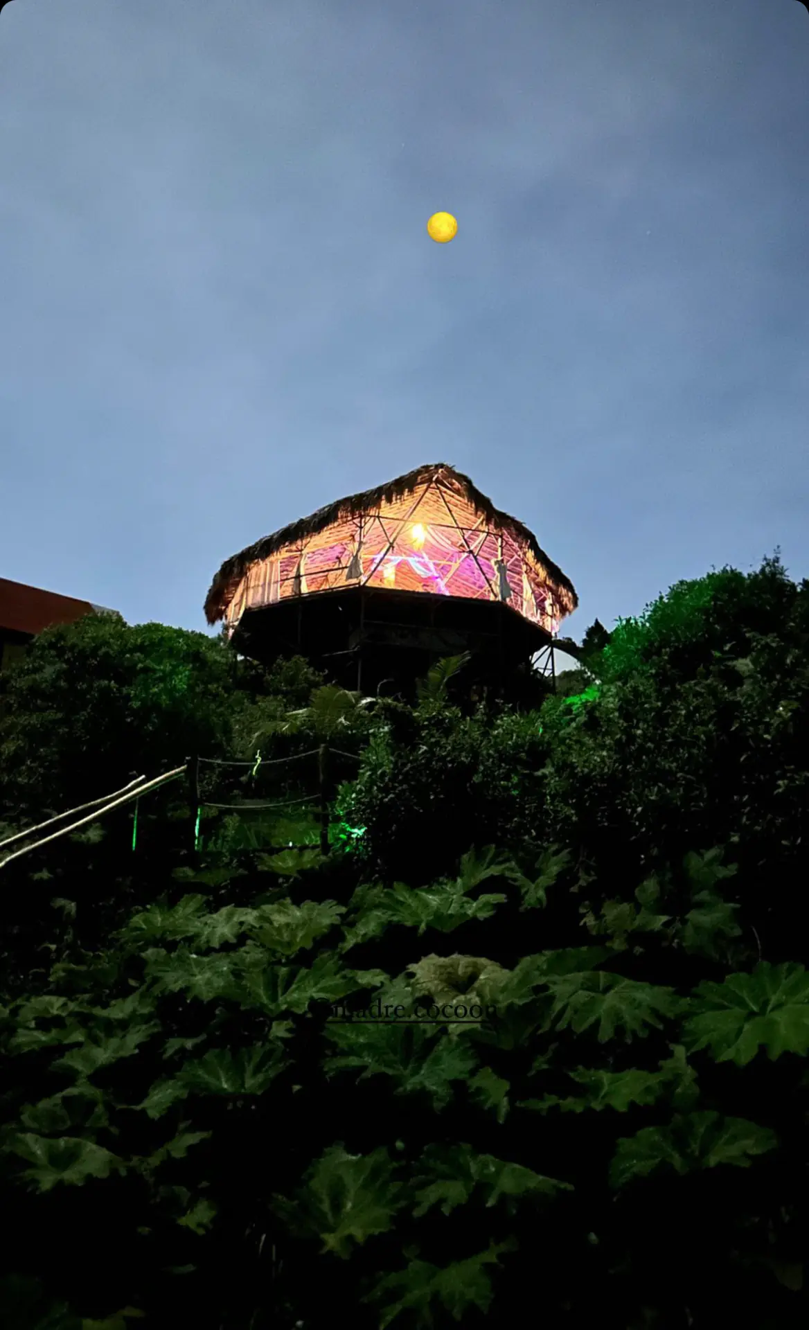 Madre Cocoon: Yoga, Cacao & Nature Retreat in the Colombian Andes