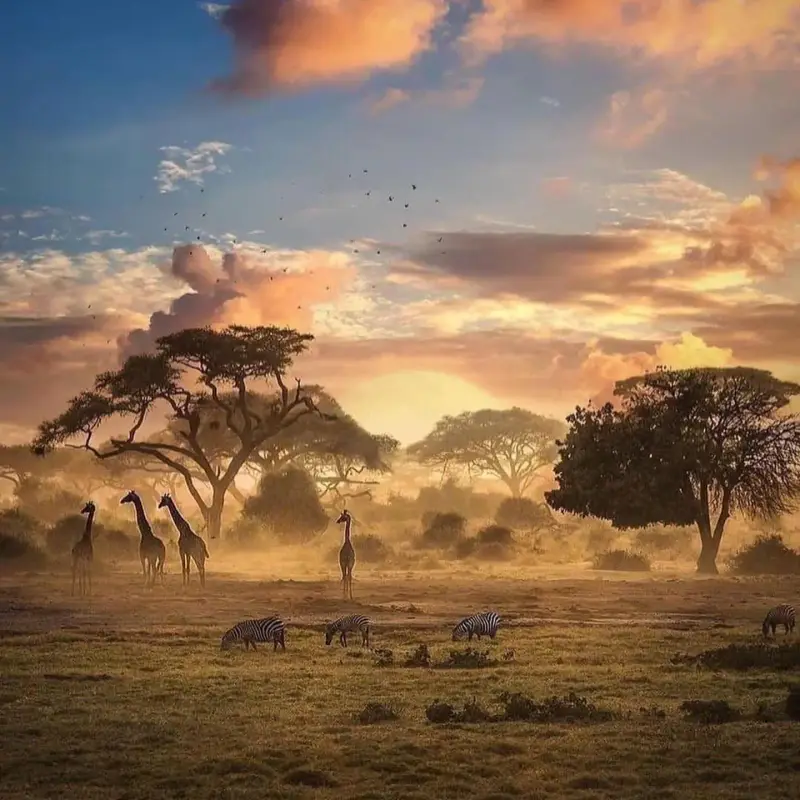Sunrise Yoga and Safari Week in Hwange and Victoria Falls, Zimbabwe