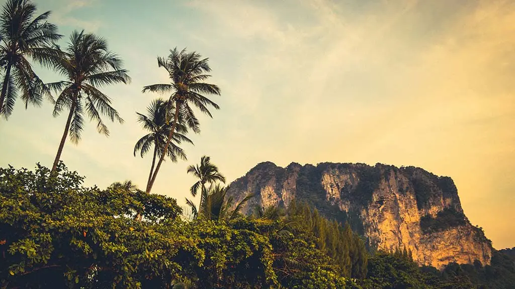 Phuket Fitness Camp: Muay Thai, CrossFit & Beach Workouts in Thailand