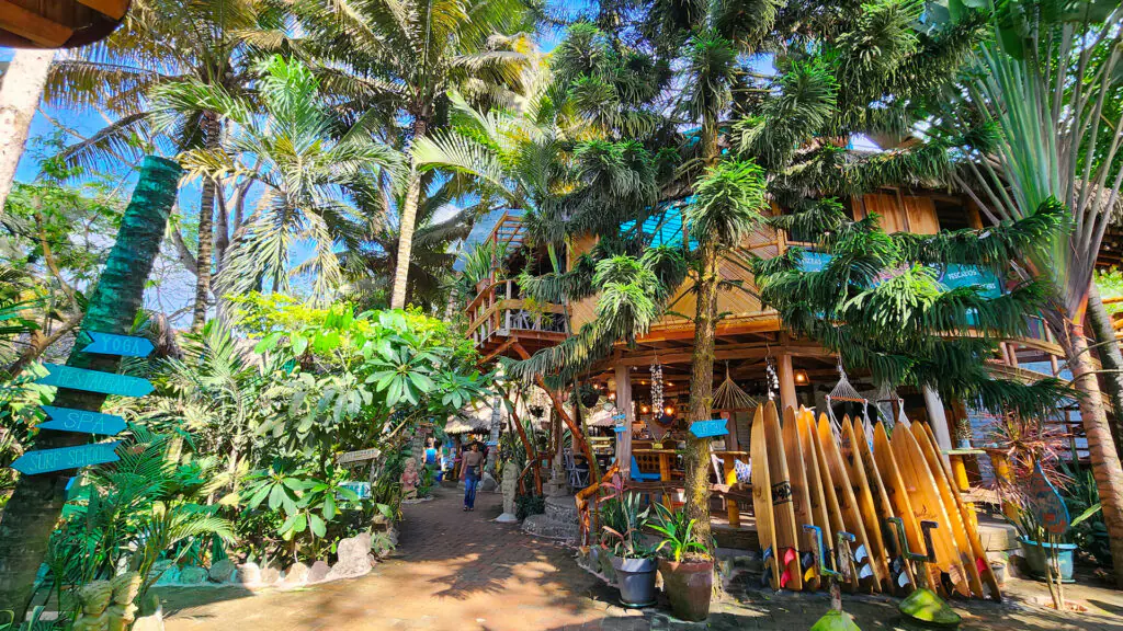 Surf & Yoga Retreat on Ecuador's Pacific Coast at Balsa Surf Camp