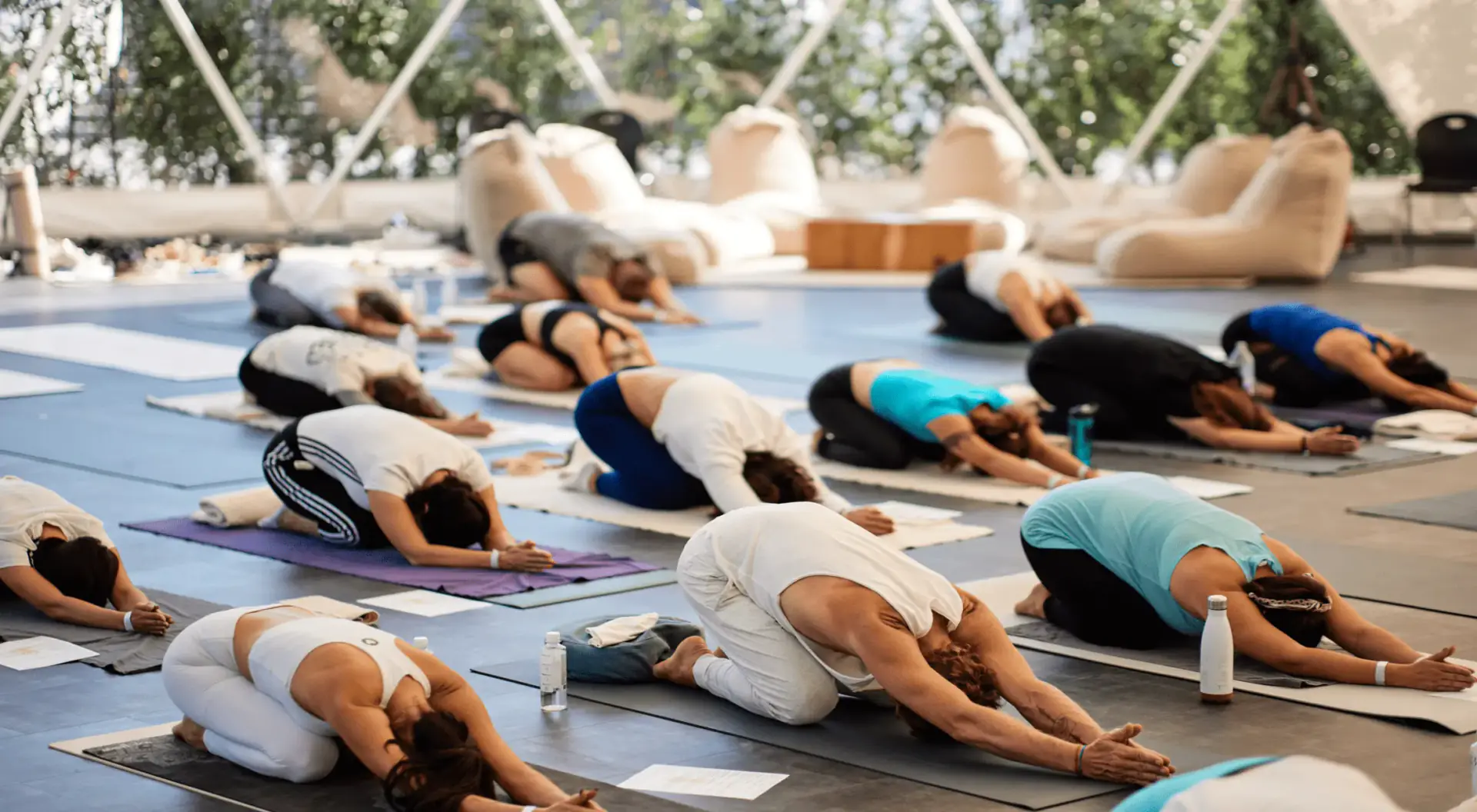 Yoga, Sauna and Vegetarian Food in the Buda Hills (Closed December 2025)