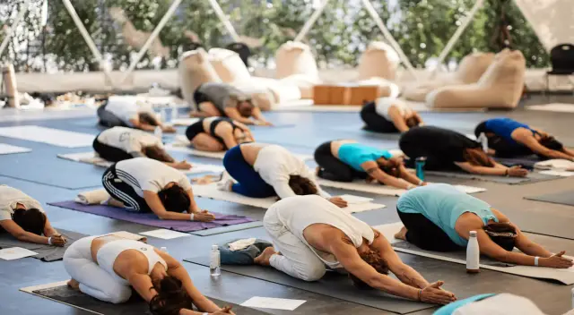 Yoga, Sauna and Vegetarian Food in the Buda Hills (Closed December 2025)