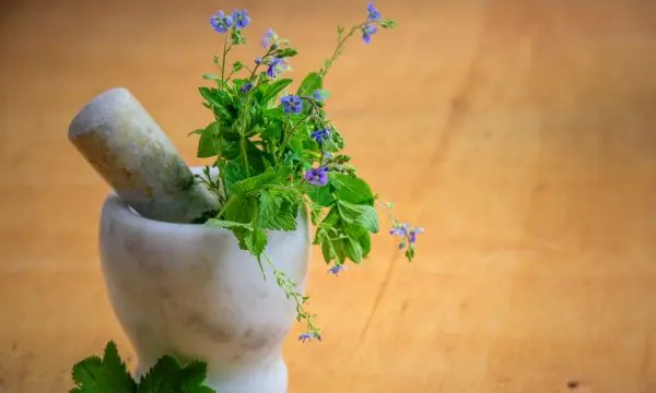 Yoga Rebalancing Retreat in São Lourenço, Portugal