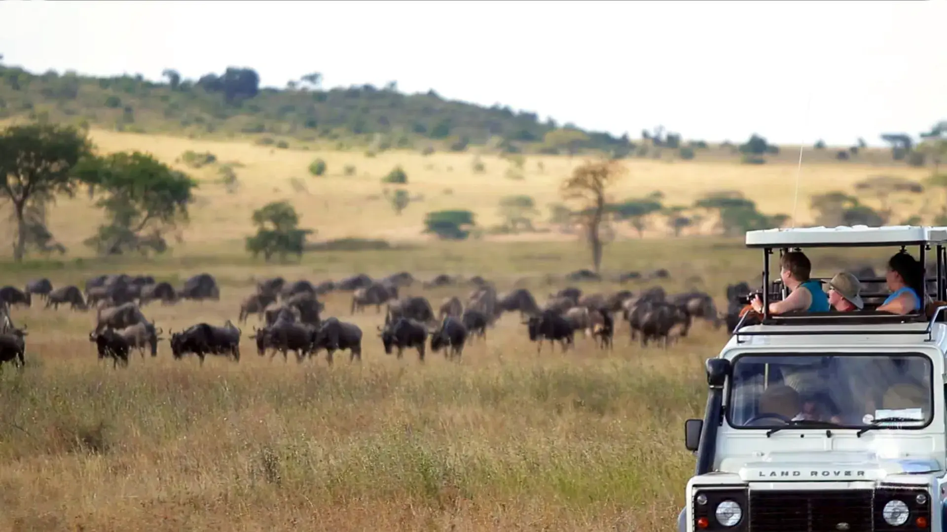 Serengeti Yoga Safari: 10-Day Wildlife & Wellness Retreat in Tanzania