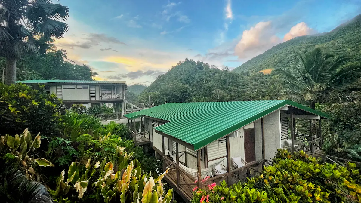 Mountain Yoga and Hiking Retreat in Puerto Rico's Coffee Country