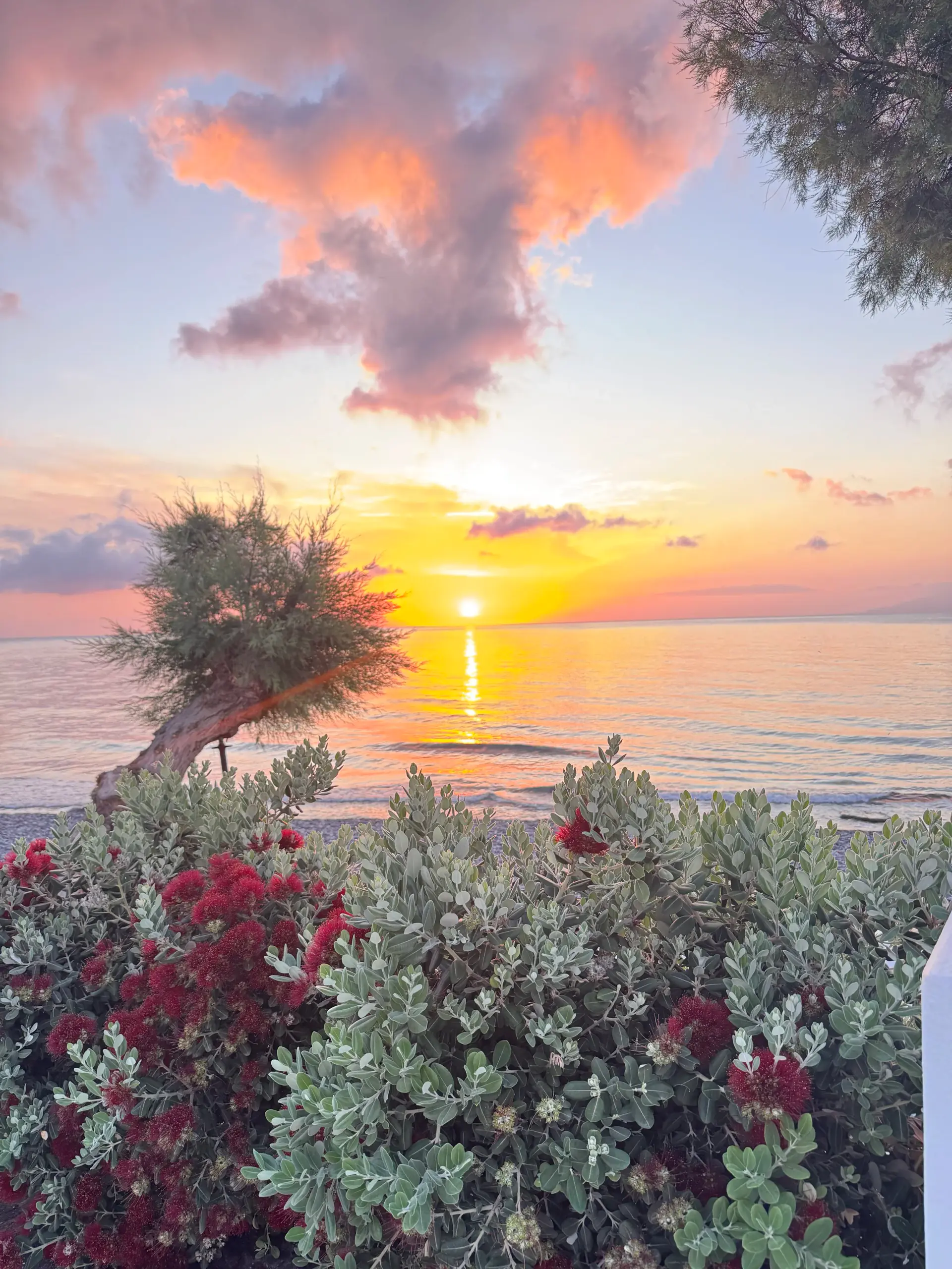 Azores Yoga & Reiki Retreat: Five Elements, Heated and Unheated Classes