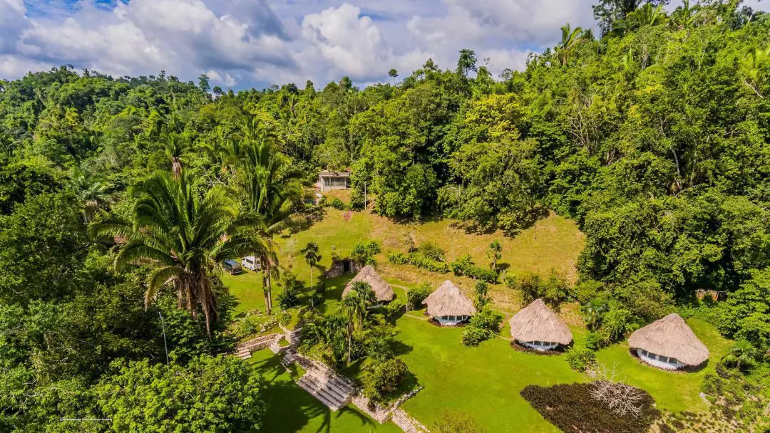Rainforest Wellness Retreat in the Belize Jungle: 6 Days of Yoga, Nature and Reset
