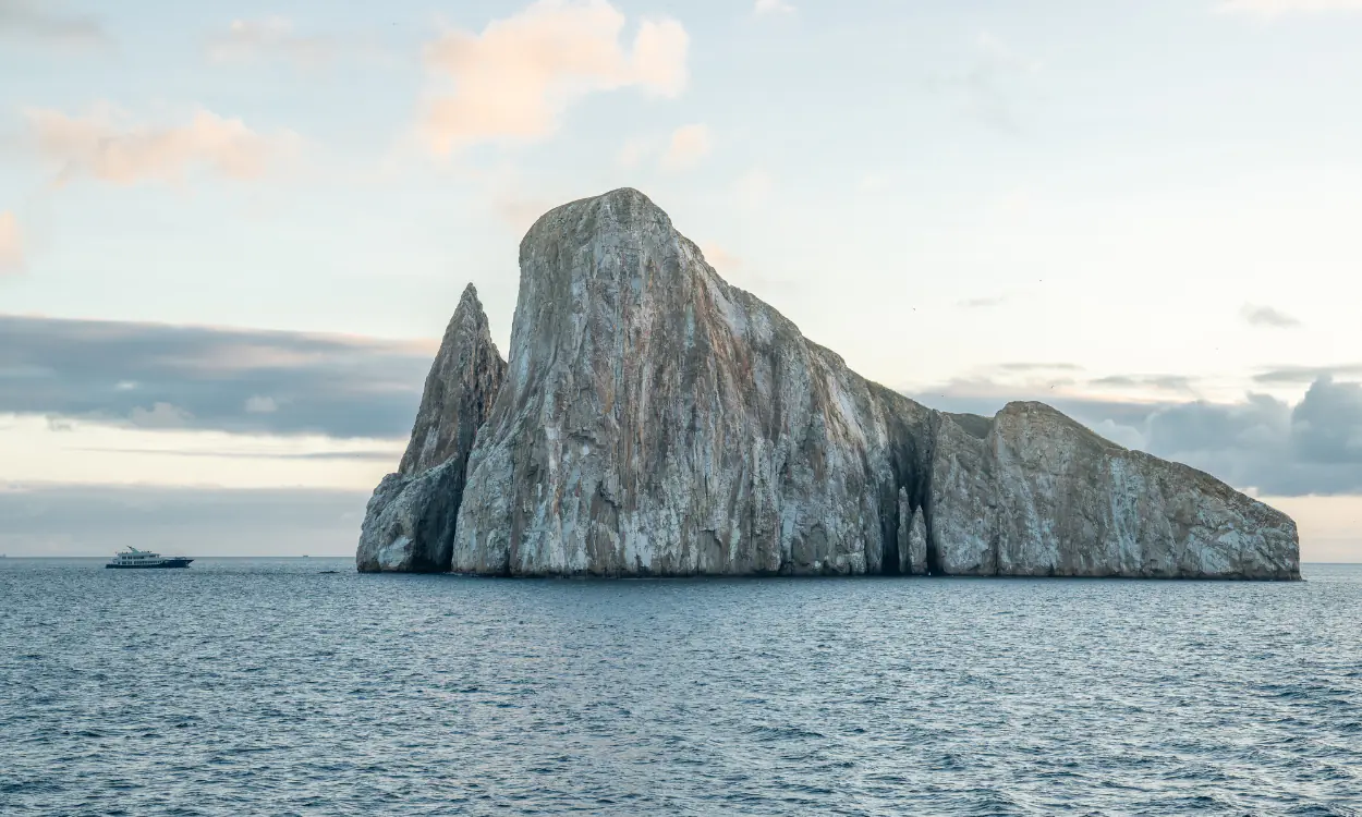Galapagos Longevity Yoga and Wellness Cruise