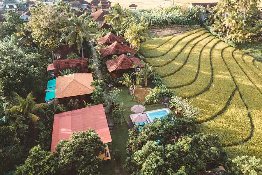 Balinese Yoga & Shamanic Wellness Escape