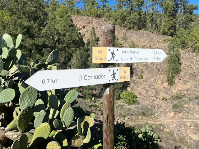 8-Day Yoga & Mindfulness Retreat in Tenerife's Volcanic South
