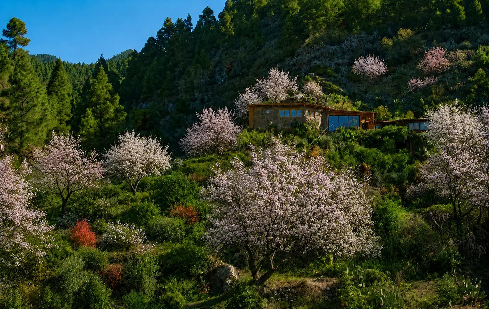 Private Yoga, Detox & Wellness Retreat in La Palma, Canary Islands