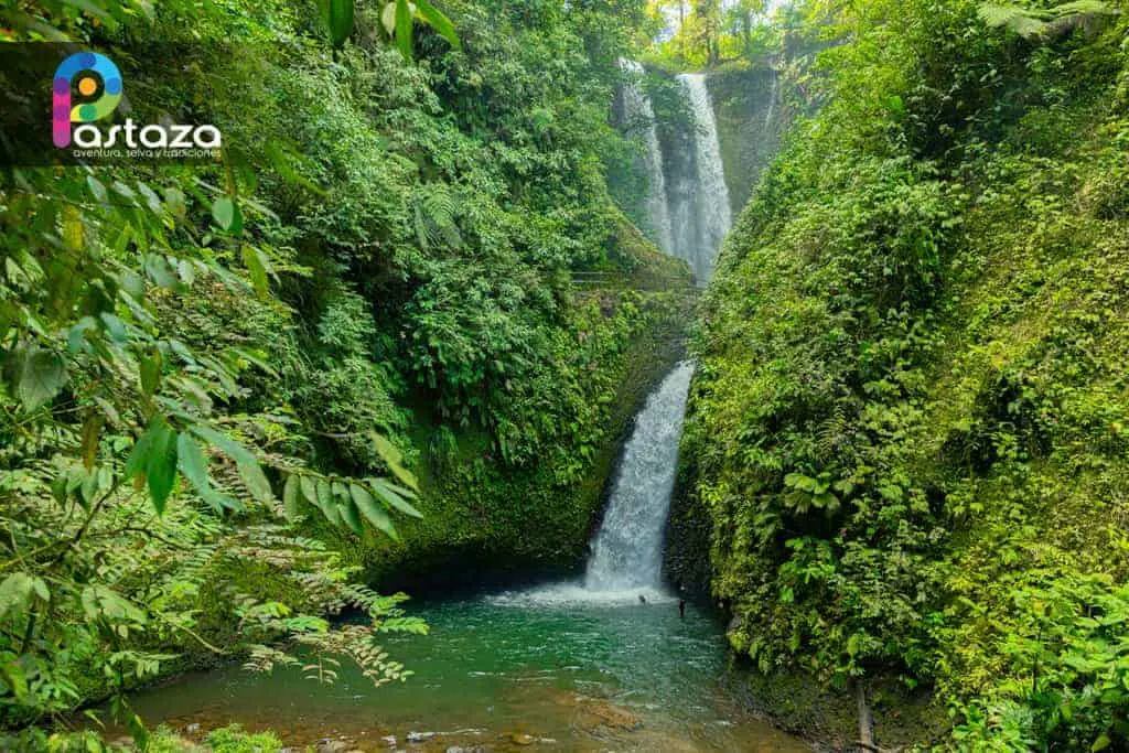 30-Day Shipibo Plant Dieta in the Ecuadorian Amazon with Maestro Sina