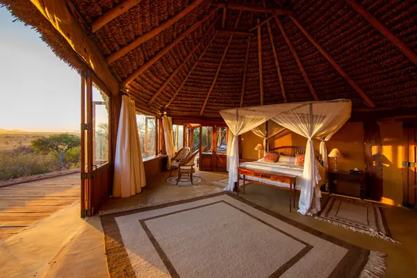 Safari Yoga Escape in Kenya's Lewa Downs: Wildlife, Conservation, and Daily Practice