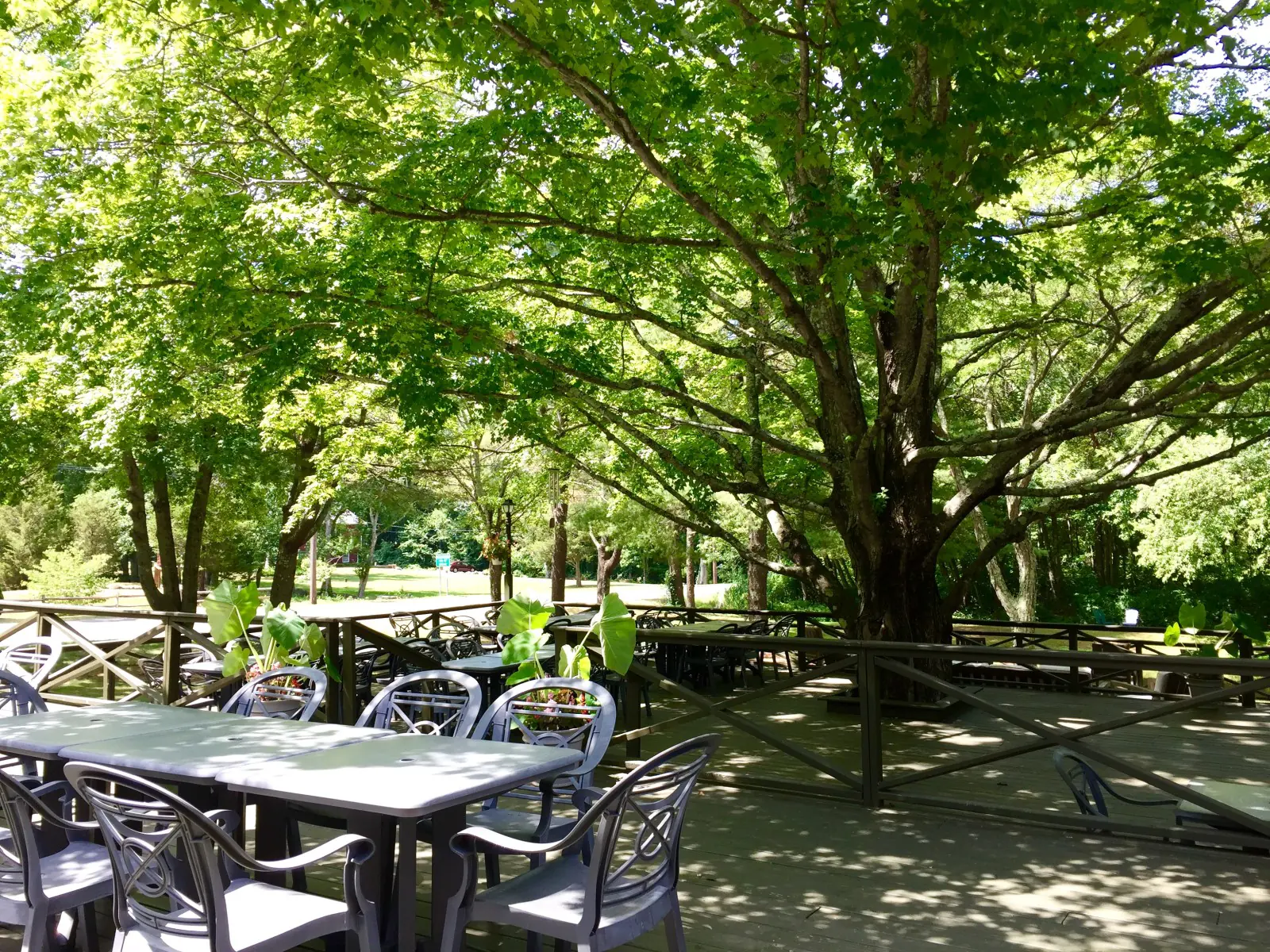 New England Group Retreat Centre with 48 Private-Bath Rooms and 17 Wooded Acres