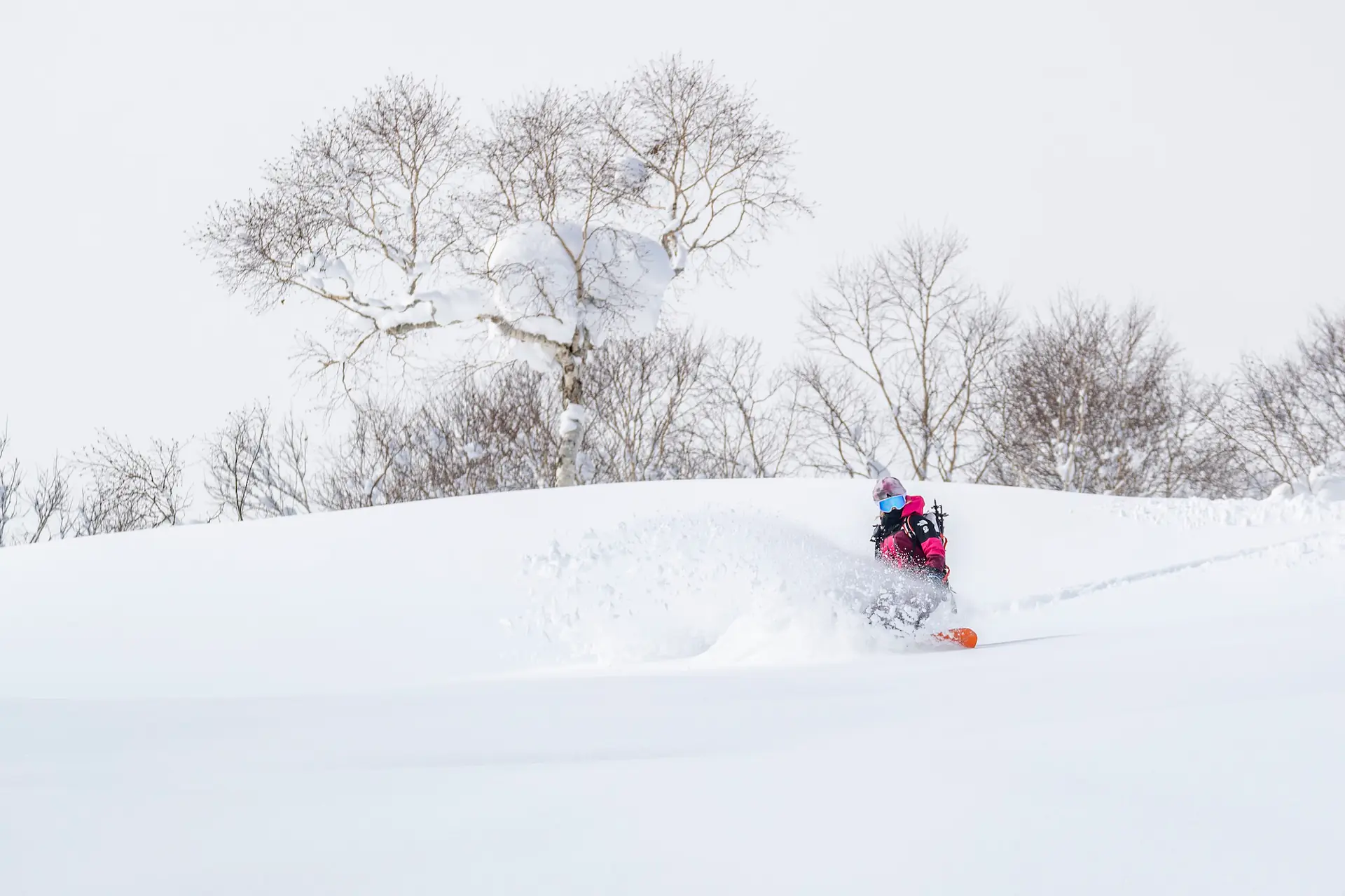 Women's Ski Trip Japan — Niseko, Rusutsu & Kiroro Powder Week