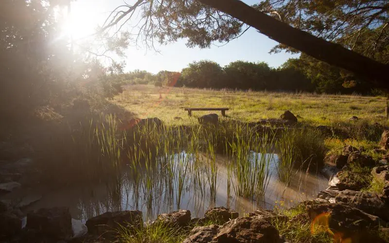 Low-EMF Yoga & Meditation Retreat Centre in the Texas Hill Country