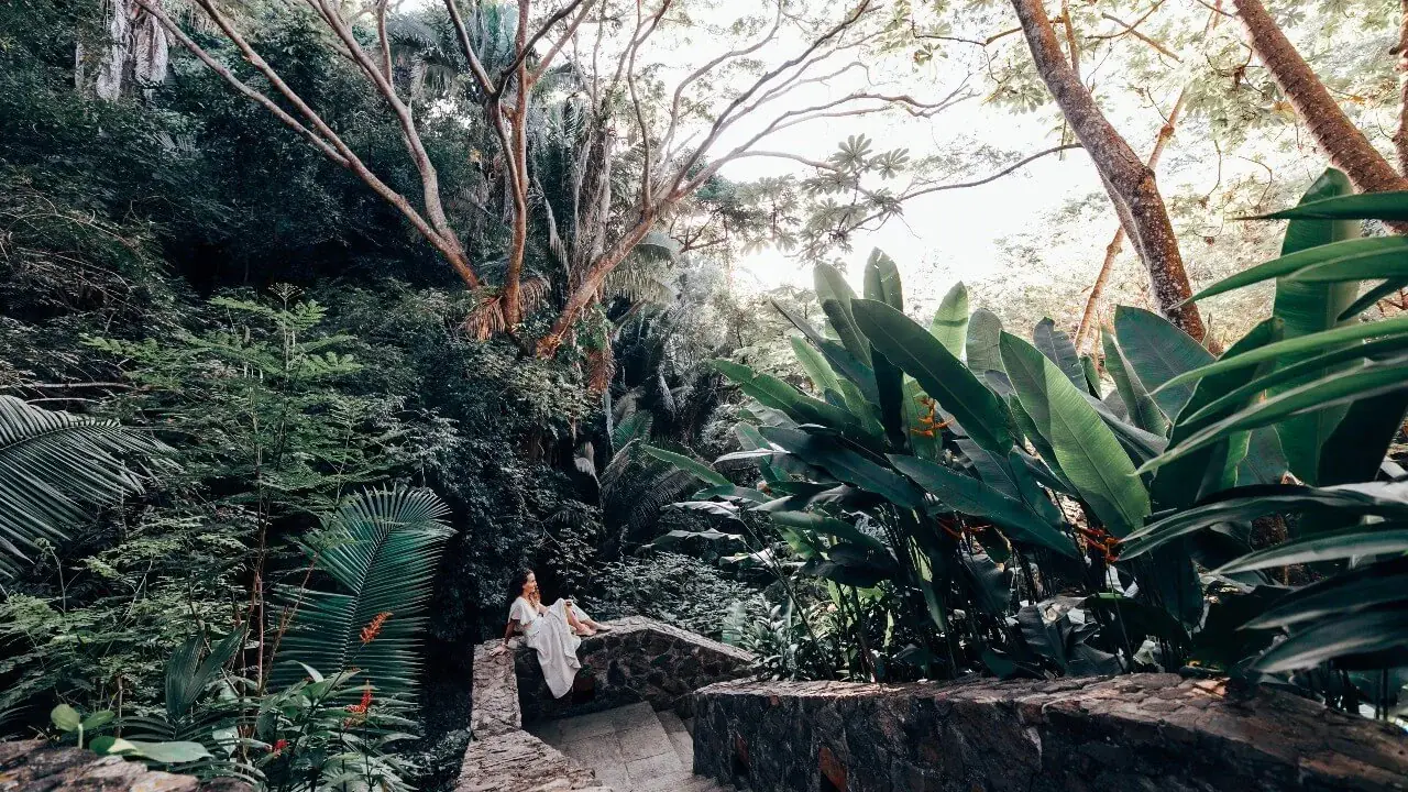 All-Inclusive Yoga & Wellness Escape in the Puerto Vallarta Jungle, Mexico