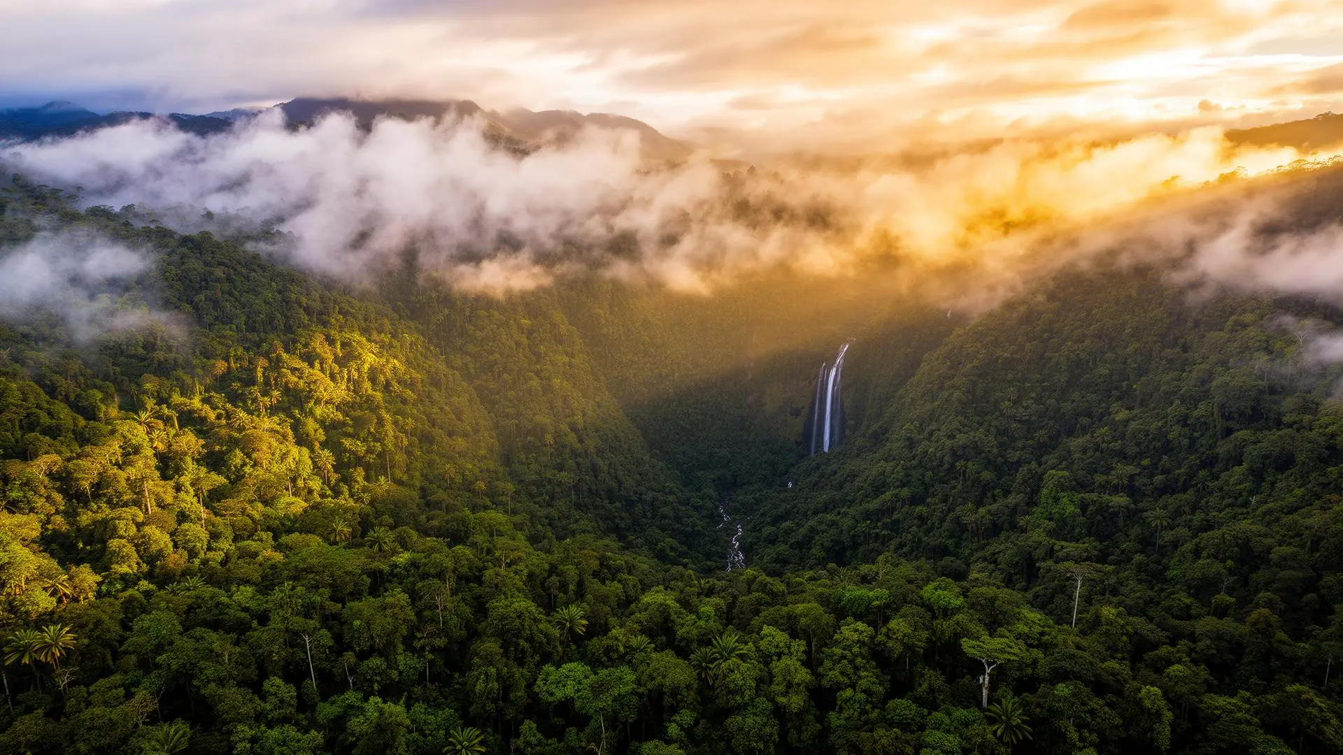 Private Yoga & Raw Vegan Cloud Forest Retreat in Mindo, Ecuador