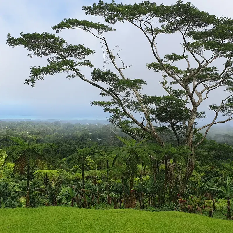 Yoga and Wellness Retreat Venue in the Mountains of Upolu, Samoa