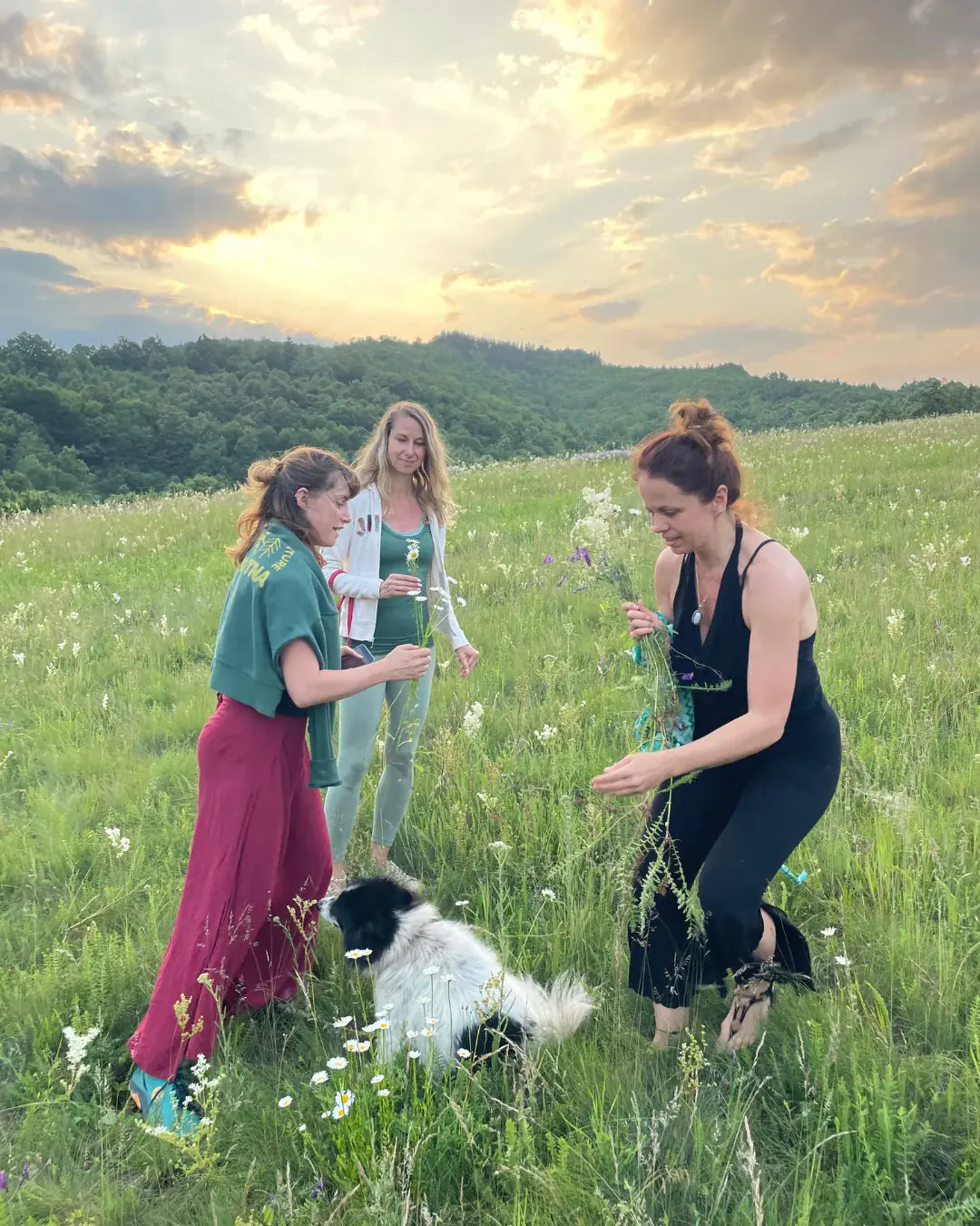 Plant-Based Yoga & Eco-Community Retreat in the Balkan Mountains