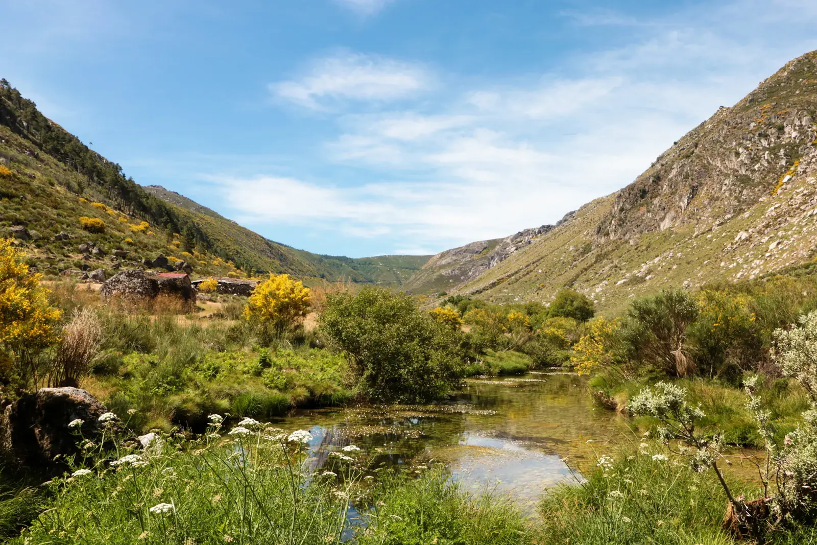 Fight Camps & Martial Arts in Portugal