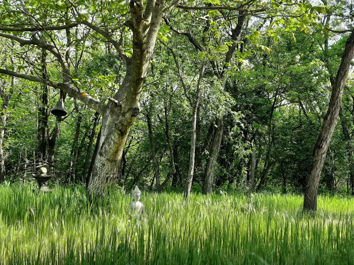 Solo Nature Retreat in Hungary with Yoga, Mindfulness & Personal Coaching