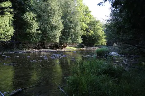Eco-Retreat Week at New Earth Estate: Forest Bathing, Paddling and Trail Hiking in Grey County