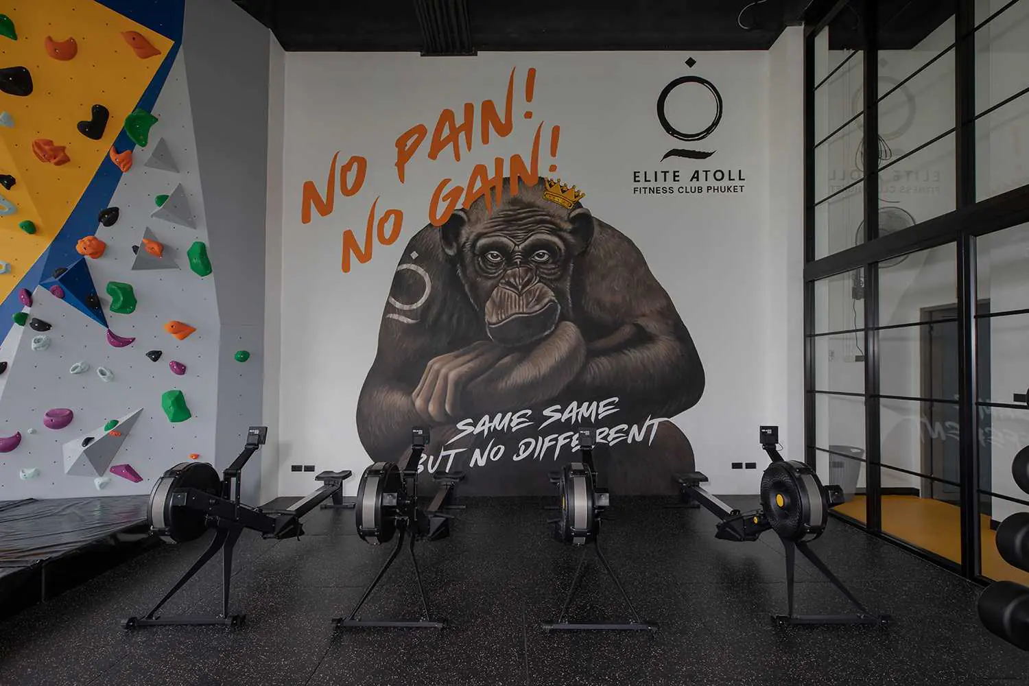 Phuket Weight Loss & Wellness Retreat with Personal Training, Muay Thai & Yoga