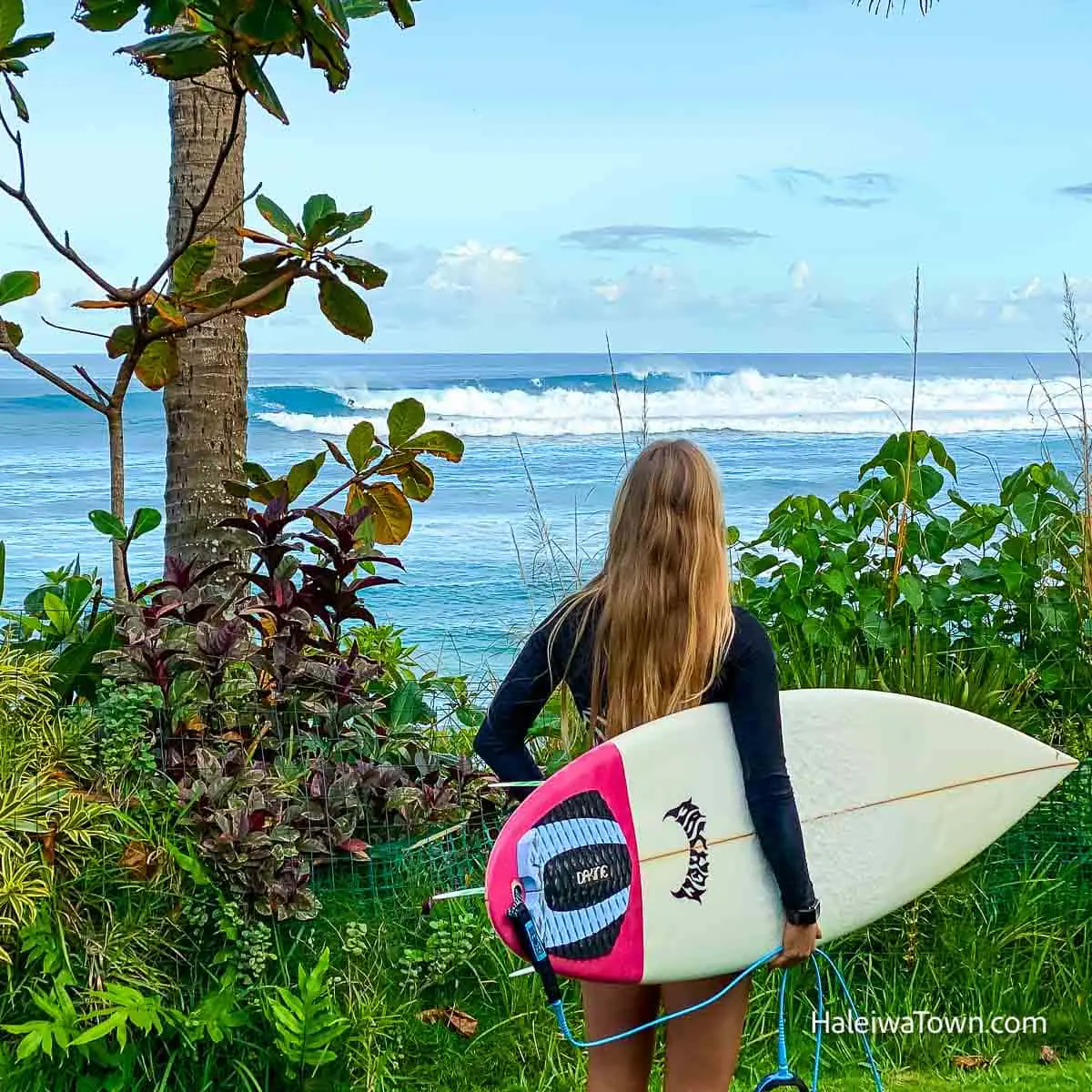 Haleiwa Surf and Yoga Camp: 5-Day North Shore Surf Retreat