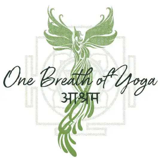 Jungle Yoga & Plant Medicine Ashram Week in Puerto Morelos, Mexico