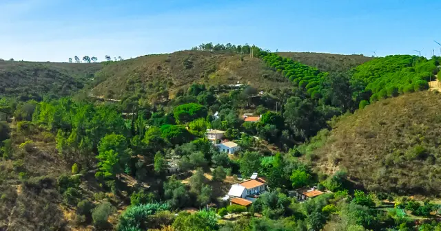 7 or 10-Day Juice Detox, Yoga & Meditation Retreat in the Algarve Hills, Portugal