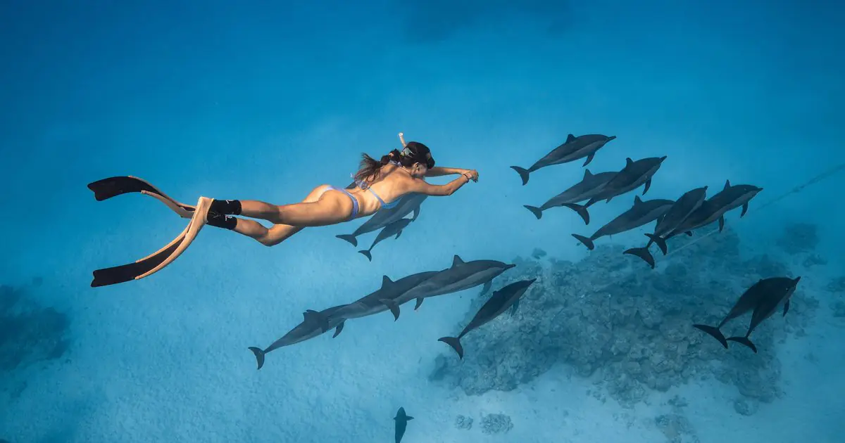 Whale Encounters & Ocean Wellness Retreat in Tonga