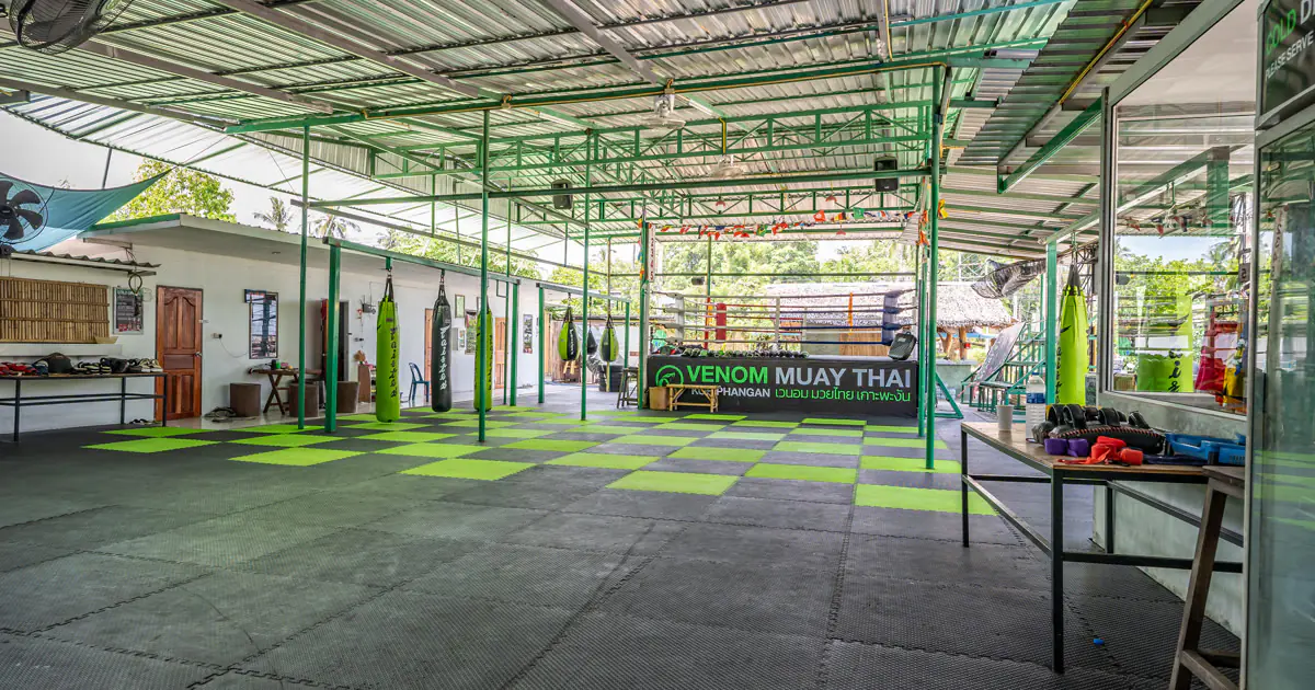 Muay Thai Fight Camp in Koh Phangan: Twice-Daily Training at a Beachside Gym
