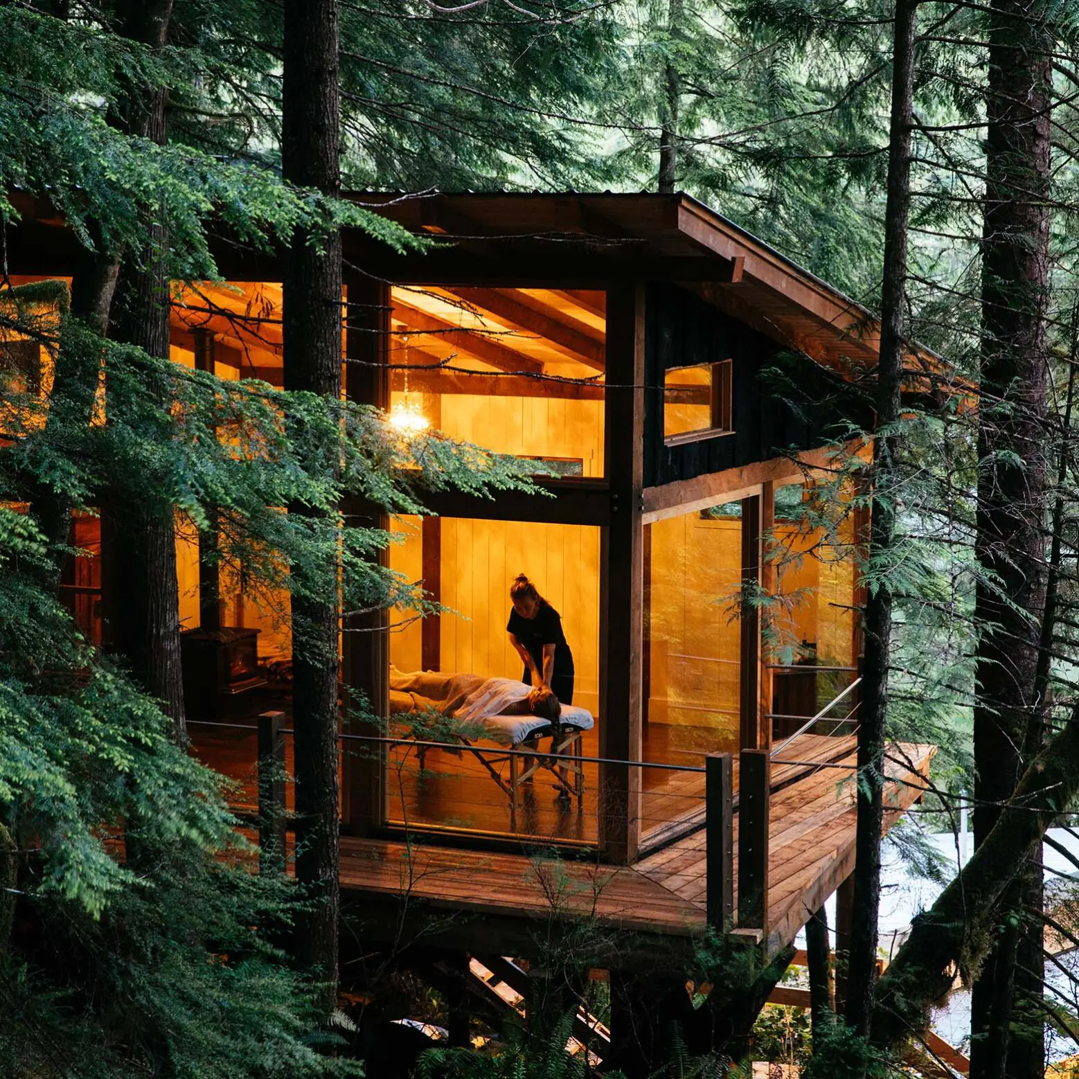 Wilderness Wellness Escape in the Great Bear Rainforest, British Columbia