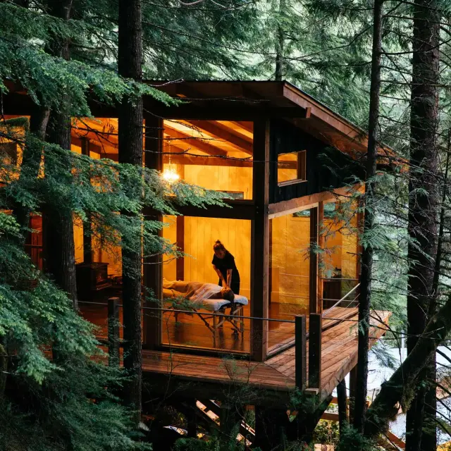 Wilderness Wellness Escape in the Great Bear Rainforest, British Columbia